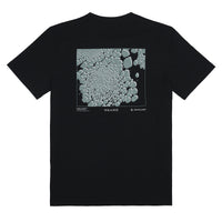 Multi Layer Set - Mendenhall Green